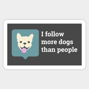 I Follow More Dogs Than People - White French Bulldog Sticker